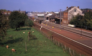 Lot - CD-2738.jpg